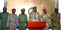 300 members of NAS return to government