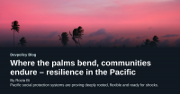 Where the palms bend, communities endure – resilience in the Pacific