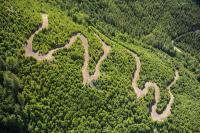 The Real Reason the Forest Service Is Killing the Roadless Rule