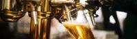 Beer, Bourbon and Biology: The Fermentation Careers Hiding Inside a Microbiology Degree