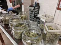 Year-over-year Q2 revenue from Maryland cannabis sales tax up more than $10 million
