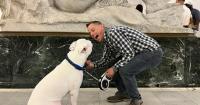 Minneapolis looks at making it easier for felons to own large dogs