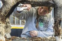 Oregon State Fair gears up for 11 days of fun in Salem