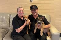 Arizona’s first dog cafe is now open in Phoenix