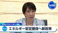 Japan Unveils New Energy Security Policy