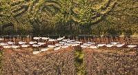 Land models sprout as degradation threatens billions of livelihoods