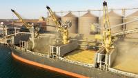 Wheat rallies as Black Sea exports stall