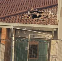 Robbers enter through the roof in raid on ZB bank in Gutu