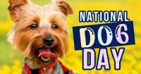National Dog Day celebrates the dogs that make life better