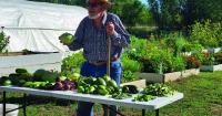 Las Vegas Demonstration and Training Farm takes steps to grow
