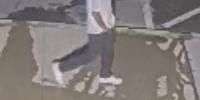 Carson City sheriff searching for suspect in burglary investigation