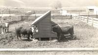 OSU’s Eastern Oregon Ag Research Center turns 125
