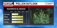 Pollen is off to the races in Middle Tennessee. Here’s what you need to know