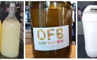 Riiria Jade Tatana found guilty of Food Act breaches for juice company Our Fruit Box