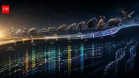 Scientists analysed thousands of animal genomes and found hidden “evolutionary highways” stretching back 600 million years