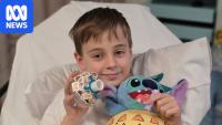 Boy punched in Melbourne CBD was visiting for cancer treatment, uncle says