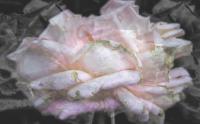Time slips sideways in San Antonio artist Trish Simonite’s ‘Exquisite Entropy’