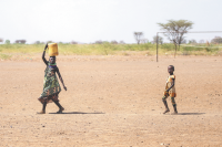 Kenya faces maize harvest shortfall