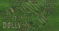 Georgia farm transformed its fall maze into a Dolly Parton tribute