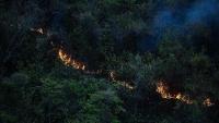 Colombia's farmers watch crops burn in El Nino-fueled wildfires