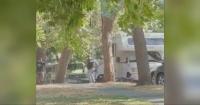 Neighbors concerned over bounty hunters’ arrest response in Seattle neighborhood