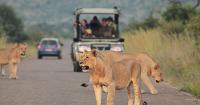 Tourist numbers to South Africa surge 17% in July