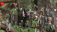 Inside Mexico’s Island of the Dolls, where a girl allegedly drowned and hundreds of dolls appeared: What lies behind the haunting story