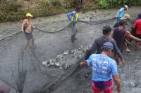 Fishpond operation ensures better tilapia harvest in Abra town