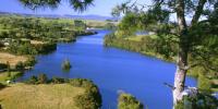 #regional: Waikato Awa Can’t Wait: Tipa Mahuta