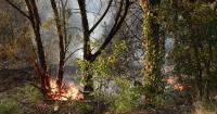 Texas' Ross fire burns 80,000 acres as containment reaches 12%, officials say