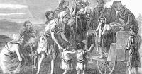 Fionnbharr Rodgers: Could the climate crisis bring on a second Irish famine?