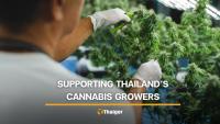 Four Twenty opens its doors to Thai cannabis farms with guaranteed purchase commitments and technical support