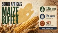 El Niño's threat to South Africa's agriculture: Understanding the implications for food prices