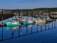 Canada targets Maine with sovereignty on the line, says premier