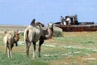 Kyrgyzstan plans to restore 300,000 hectares of degraded land by 2030