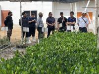 Qatar, Thailand join hands for mangrove restoration