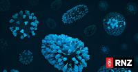 Auckland kindergarten sees majority of children off sick as flu season pressure continues