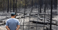 Serbian media blame Kosovo over wildfires