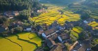 China consolidates poverty alleviation gains as rural incomes climb steadily