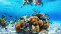 Seychelles is home to spectacular snorkeling spots!
