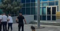 Bomb threats hit institutions across Albania