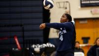 Morris/Sussex girls volleyball team-by-team preview capsules