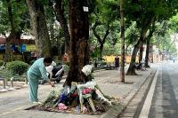 Vietnam’s ‘justice tree’ tests the limits of online dissent