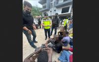 Over 500 Foreigners Detained In Special Op At Construction Sites Nationwide