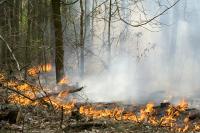 Update: Fire breaks out in southeastern Romania after alleged drone explosion