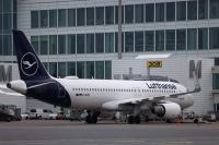 Two airport workers die of malaria in Frankfurt after mosquitos ‘arrive on plane’ and spread infection
