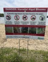 Sleepy Hollow SP beach closed again for algae bloom