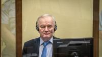 No Dutch investigation into Mladic's death - UN tribunal