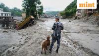 Nepal floods: How many people are missing from India, US, UK and 30 other countries? Full list here
