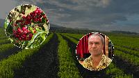 AGRICULTURE FESTIVAL TO SHOWCASE A LOT MORE PARTICIPANTS THIS YEAR
